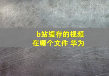 b站缓存的视频在哪个文件 华为